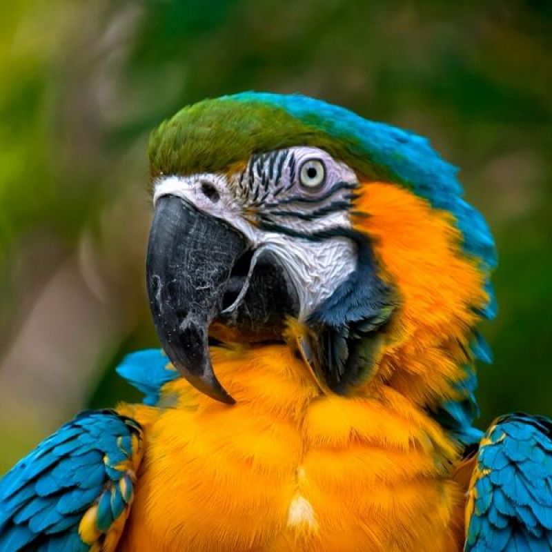 Naturaleza y ecoturismo desde Colombia