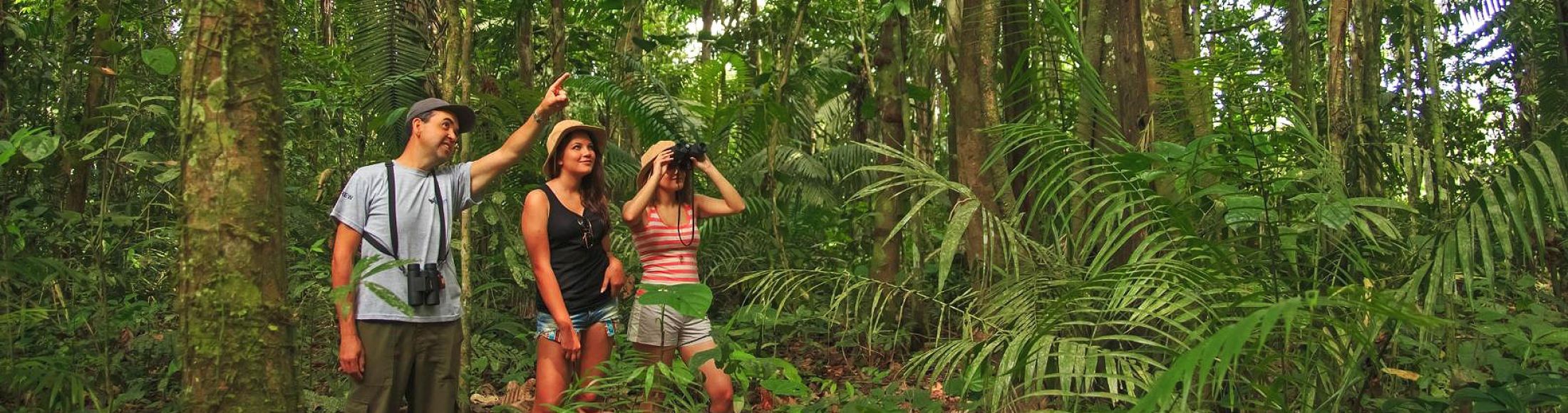Reserva Tambopata, Puerto Maldonado desde Colombia