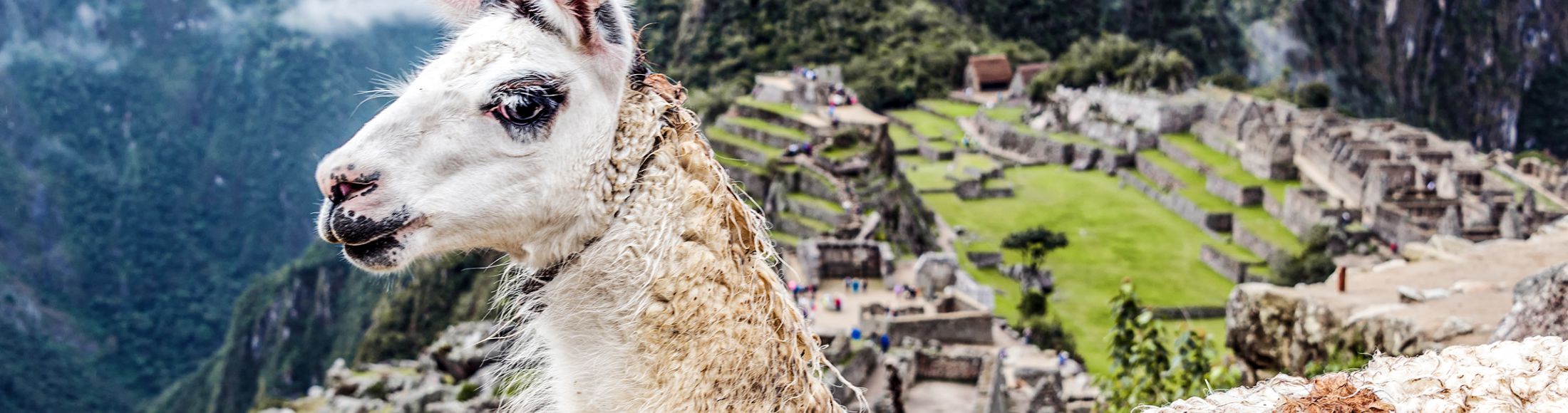 Machu Picchu 8D7N Viajero (Full Cultural) desde Colombia